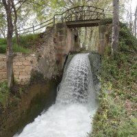 laula-camina-juneda-quart-sequia-del-canal-durgell